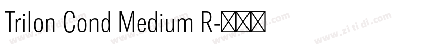 Trilon Cond Medium R字体转换